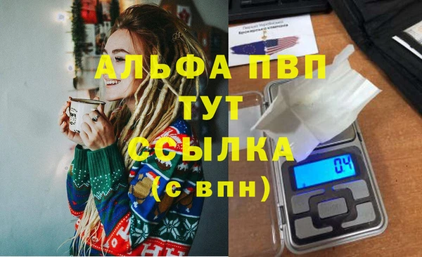 хмурый Горняк