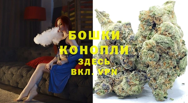 хмурый Горняк